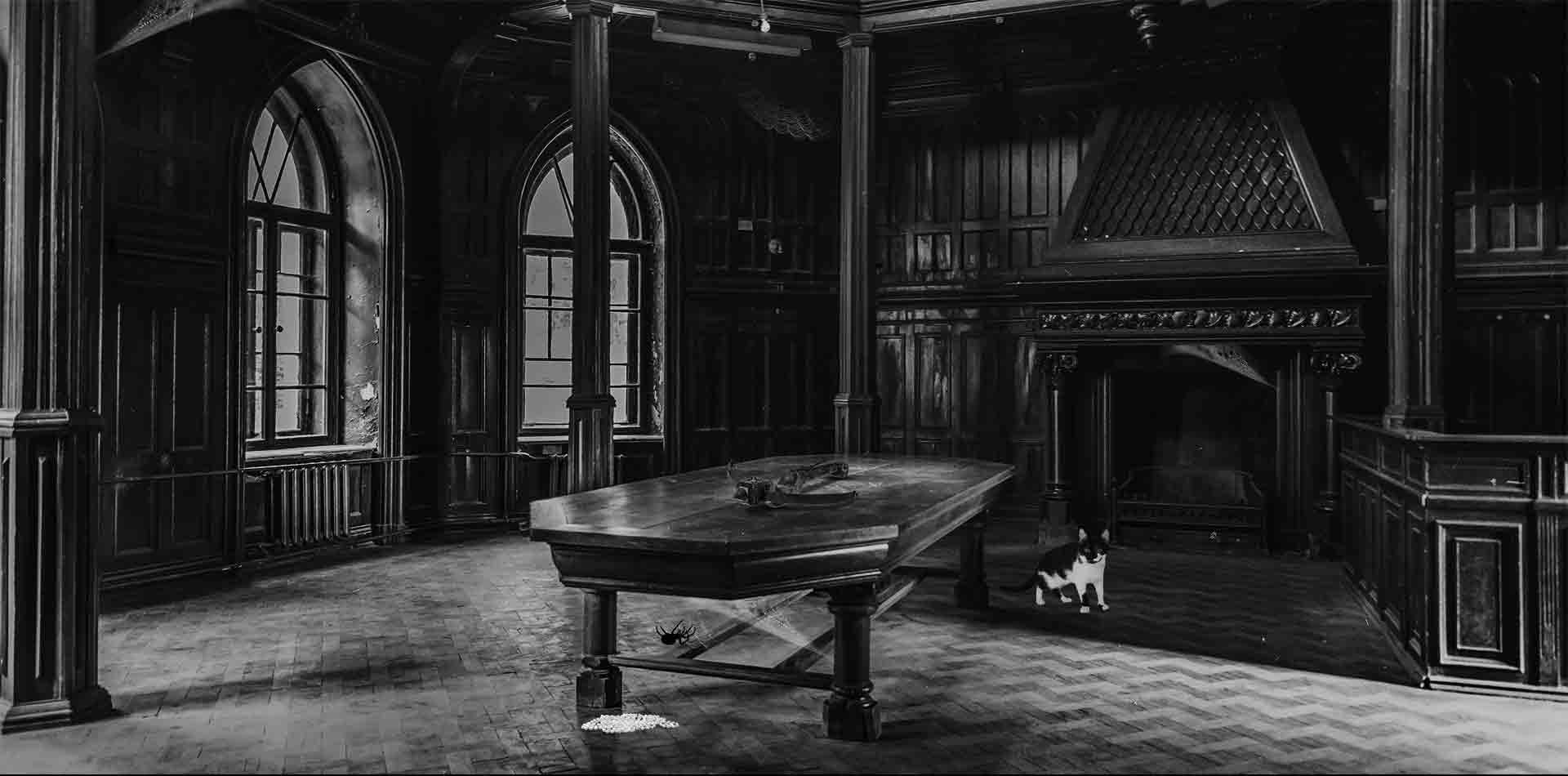 Krimidinner©<br> Spuk von Darkwood Castle