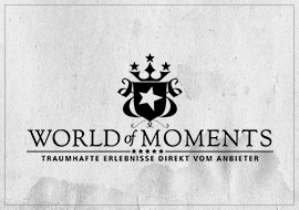 Zur World of Moments Website
